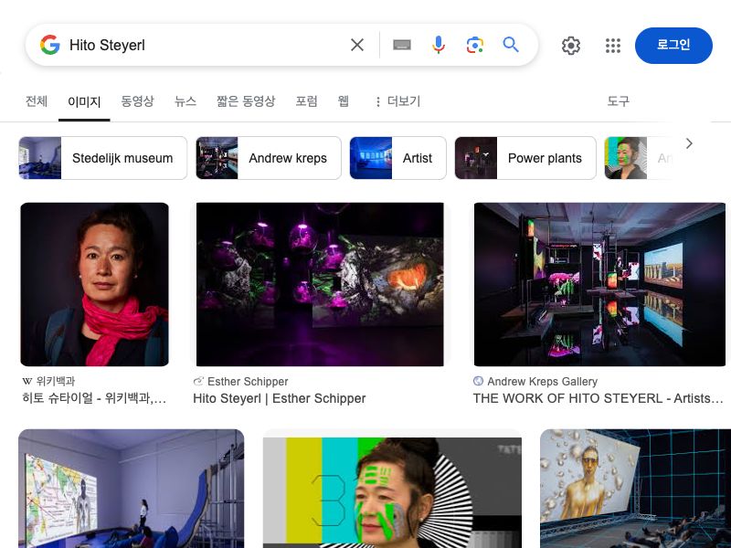 Hito Steyerl,VideoEssay,Installation,Theory