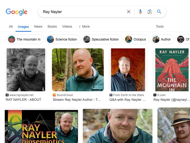 Ray Nayler,Author  / The mountain in the sea